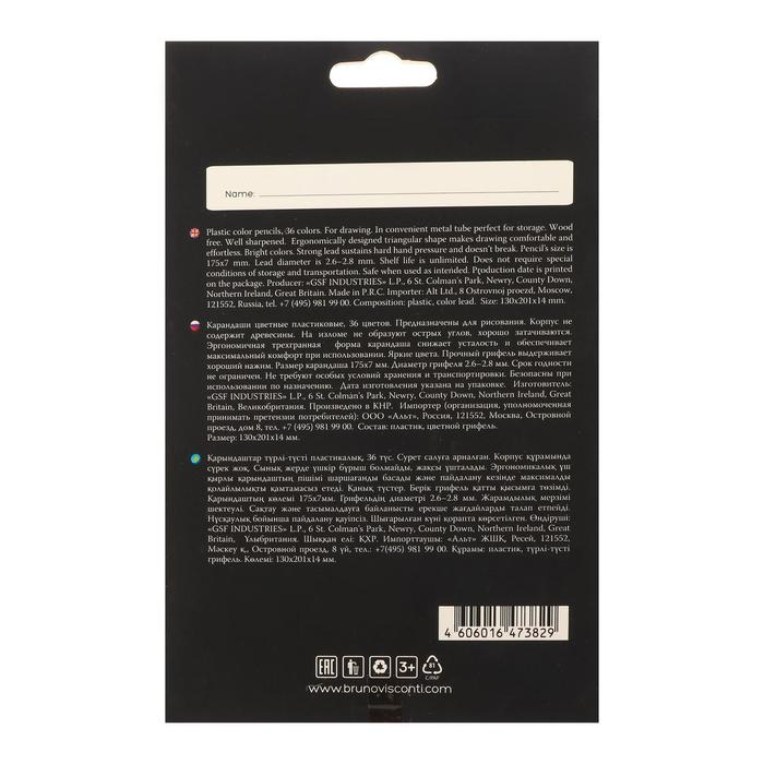 Карандаши цветные 36 цветов BlackWoodColor, пластиковые, трёхгранные, МИКС