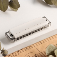 Губная гармошка Music Life T008L  C диатоническая, 10 отверстий, с футляром