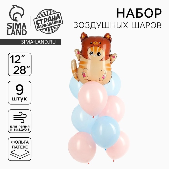 Набор воздушных шаров «Котик в шапке», фольга, латекс, 9 шт. Набор воздушных шаров «Котик в шапке», фольга, латекс, 9 шт.