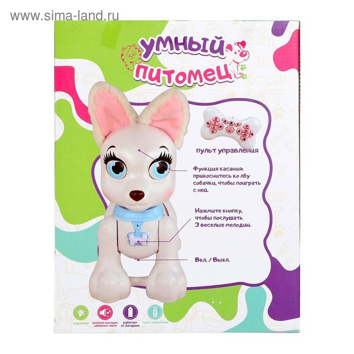 Робот собака «Умный питомец» ZHORYA, на пульте управления, интерактивный: реагирует на касания, звук, свет, на аккумуляторе Робот собака «Умный питомец» ZHORYA, на пульте управления, интерактивный: реагирует на касания, звук, свет, на аккумуляторе