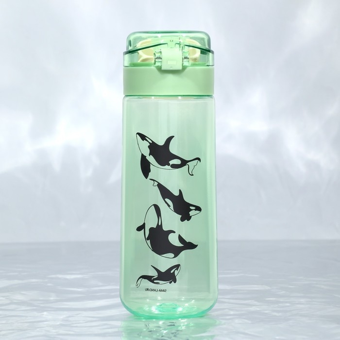 Бутылка для воды «Касатки», 520 мл Бутылка для воды «Касатки», 520 мл