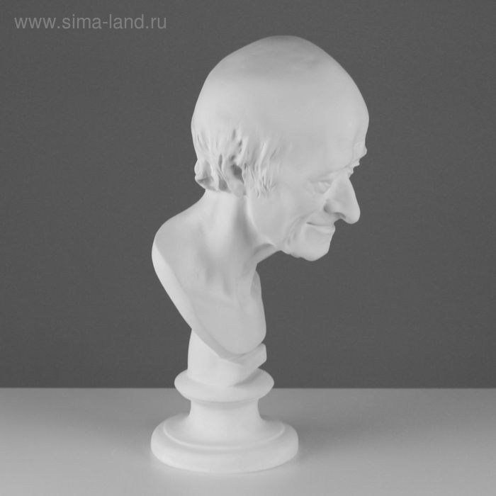Гипсовая фигура Голова Вольтера, 20 х 26 х 48 см Гипсовая фигура Голова Вольтера, 20 х 26 х 48 см