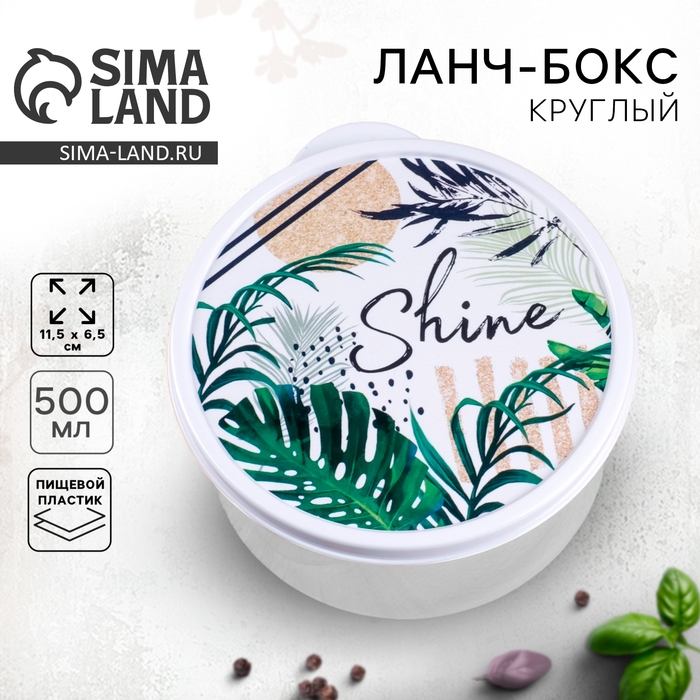 Ланч-бокс &laquo;Shine&raquo;, 500 мл