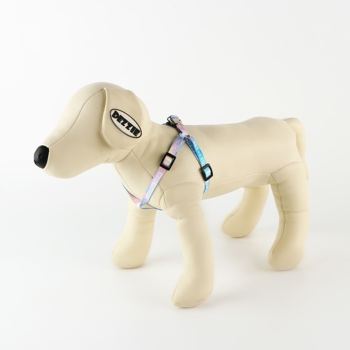 Комплект &laquo;Моя радость&raquo;, шлейка 24-36 см, поводок 120х1 см