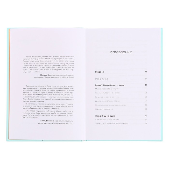 Книга силы, утешения и поддержки «Всё закончится, а ты нет», Примаченко О. В. Книга силы, утешения и поддержки «Всё закончится, а ты нет», Примаченко О. В.