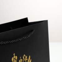 Пакет подарочный, упаковка, «Герб России», 32 х 26 х 12 см Пакет подарочный, упаковка, «Герб России», 32 х 26 х 12 см