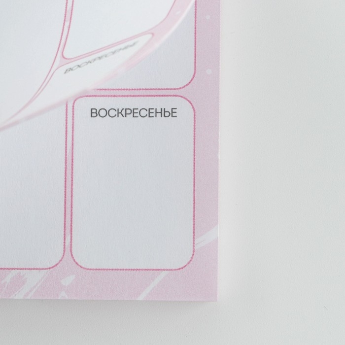 Подарочный набор &laquo;С 8 марта&raquo; планинг 50 листов, стикеры-закладки и ручка