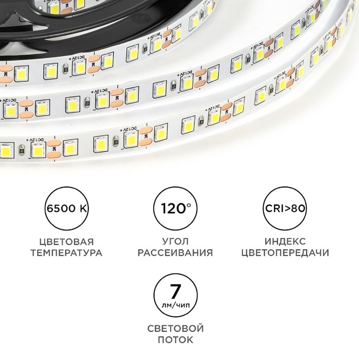 Светодиодная лента Apeyron 12В, SMD2835, 5 м, IP20, 9.6Вт/м, 120 LED/м, 6500К Светодиодная лента Apeyron 12В, SMD2835, 5 м, IP20, 9.6Вт/м, 120 LED/м, 6500К