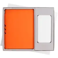 Набор Flexpen Shall Energy, оранжевый