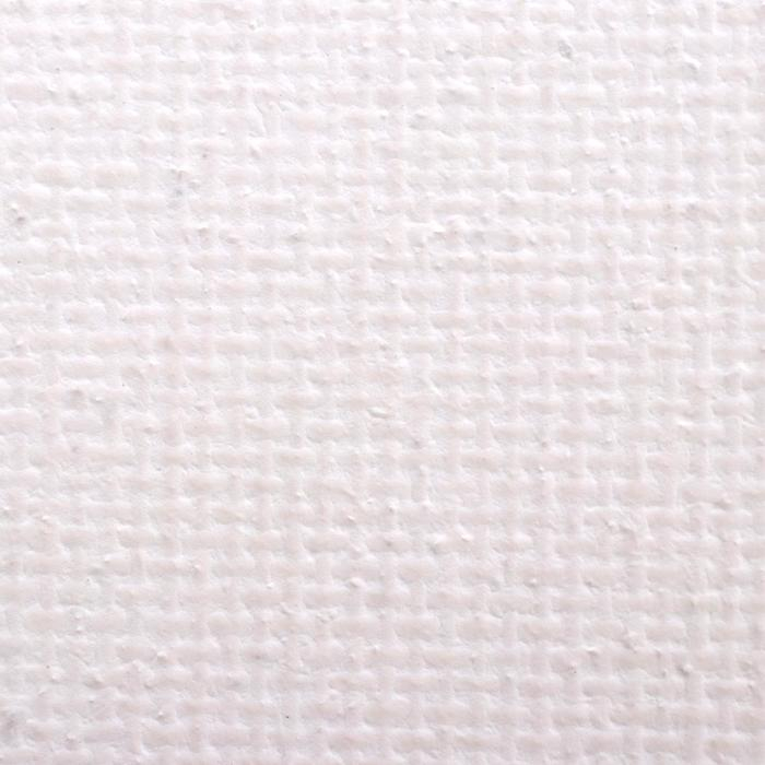 Холст на подрамнике, хлопок 100%, 60 х 80 х 2 см, акриловый грунт, мелкозернистый "Студия"