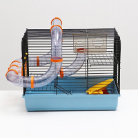 Клетка для грызунов "Хома 3", 50 x 37 x 42 см, микс цветов Клетка для грызунов "Хома 3", 50 x 37 x 42 см, микс цветов