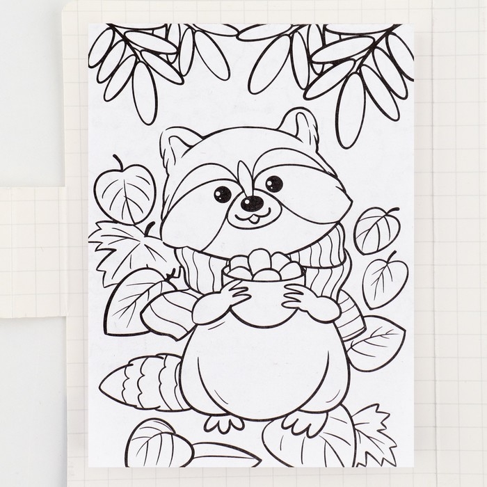 Подарочный набор в открытке: отрывной блок с заданиями и карандаши &laquo;Енот&raquo;