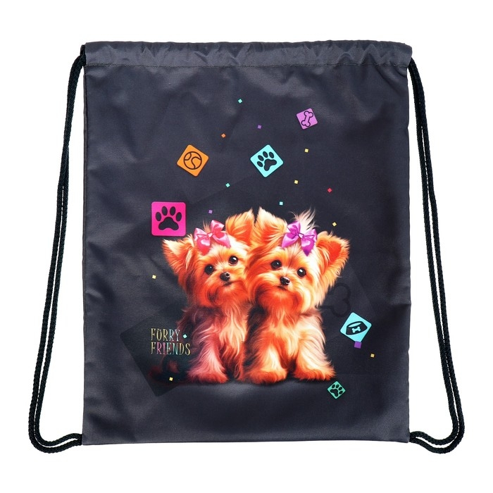 Мешок для обуви 435 х 360 мм, Stavia (плотность 600D с водоотталкивающей ПУ-пропиткой) Мешок для обуви 435 х 360 мм, Stavia (плотность 600D с водоотталкивающей ПУ-пропиткой) "Йорки"