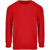 Свитшот детский Columbia Kids, красный, на рост 154-164