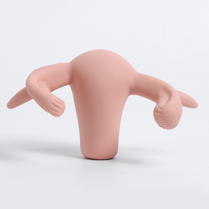 Макет Макет "Вагина" разборный 19*13*17см