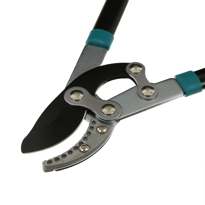 Сучкорез, профессиональный, 31 Сучкорез, профессиональный, 31" (79 см), МИКС, Greengo