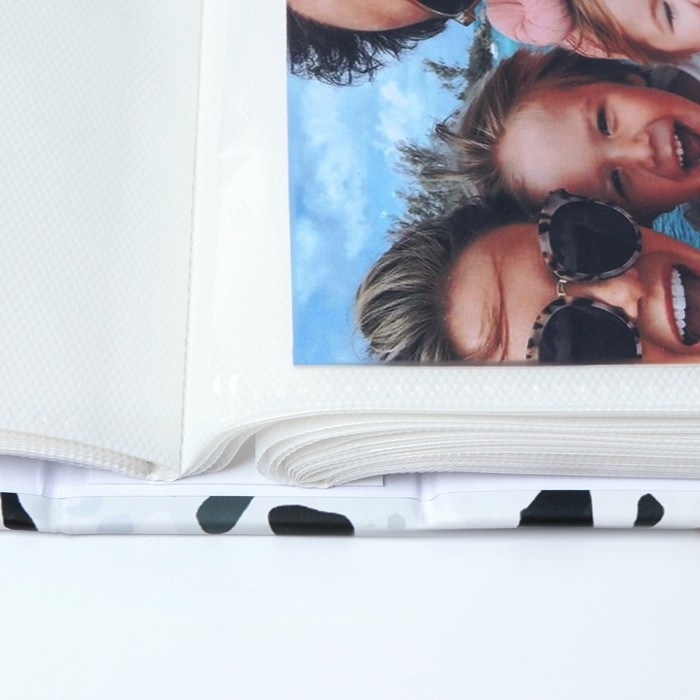 Фотоальбом &laquo;Жизнь&raquo;, 300 фото