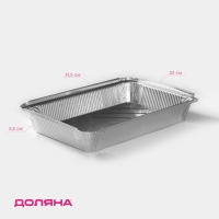 Набор форм из фольги для запекания и выпечки Доляна, 2,1 л, 31,5×22×5,5 см, 2 шт Набор форм из фольги для запекания и выпечки Доляна, 2,1 л, 31,5×22×5,5 см, 2 шт