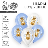 Воздушный шар латексный 12" «Праздничный пёсик», 5 шт. Воздушный шар латексный 12" «Праздничный пёсик», 5 шт.