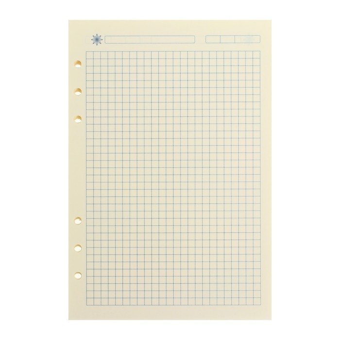 Сменный блок для органайзера А5, 80 листов в клетку, тонированный Сменный блок для органайзера А5, 80 листов в клетку, тонированный "Кремовый"