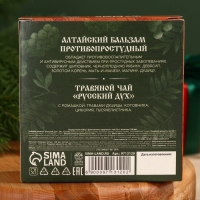 Подарочный набор &laquo;Долголетия&raquo;: травяной чай 20 г., безалкогольный бальзам 100 мл.