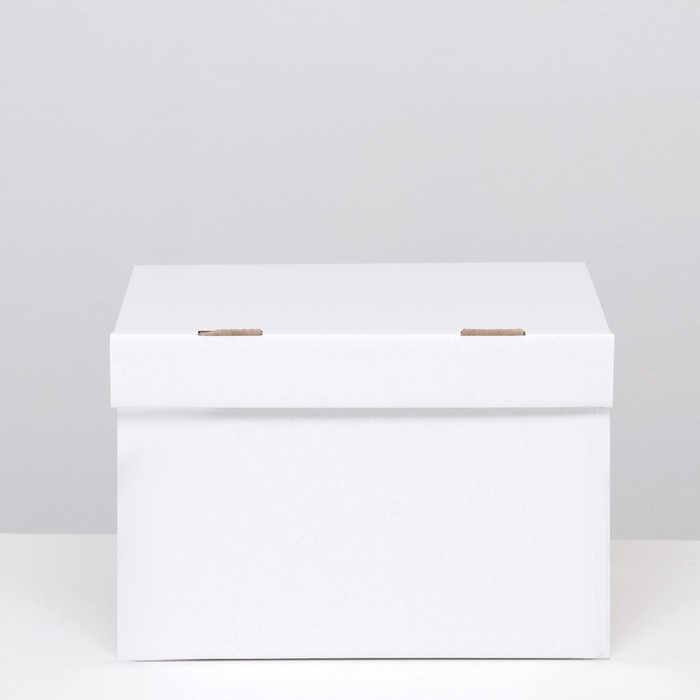 Коробка для хранения Коробка для хранения "А4", белая, 32,5 x 23,5 x 23,5