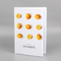 Папка для семейных документов &laquo;Docs&raquo;, 8 файлов А4