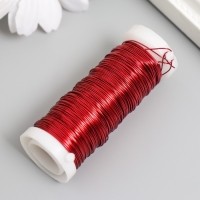 Проволока для творчества "Красный" 30 метров, толщина 0,3 мм 5,5х2,2х2,2 см Проволока для творчества "Красный" 30 метров, толщина 0,3 мм 5,5х2,2х2,2 см