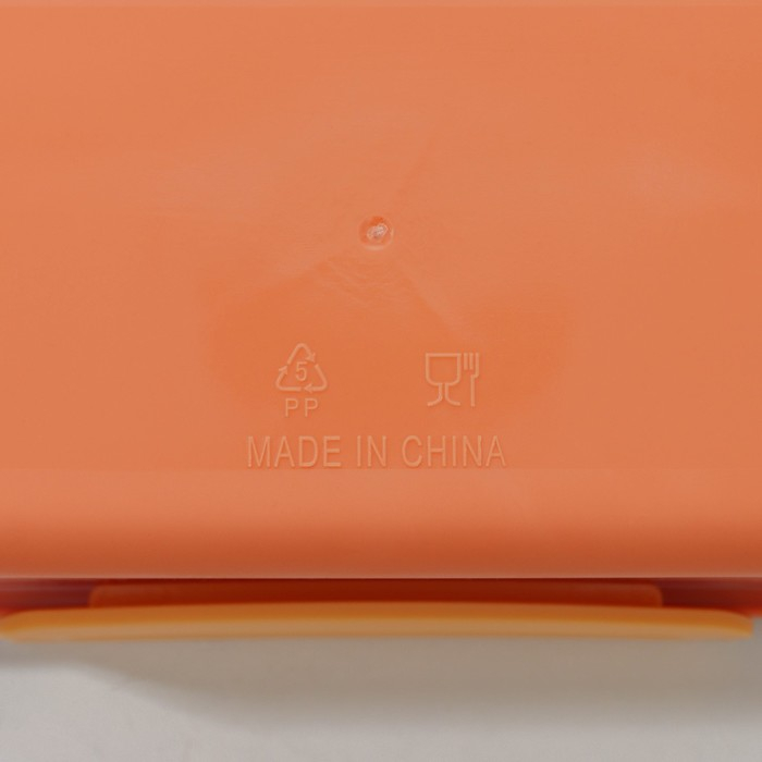 Ланч - бокс пластиковый Доляна &laquo;Классика&raquo;, 2 отделения, 18&times;18&times;6 см, цвет МИКС