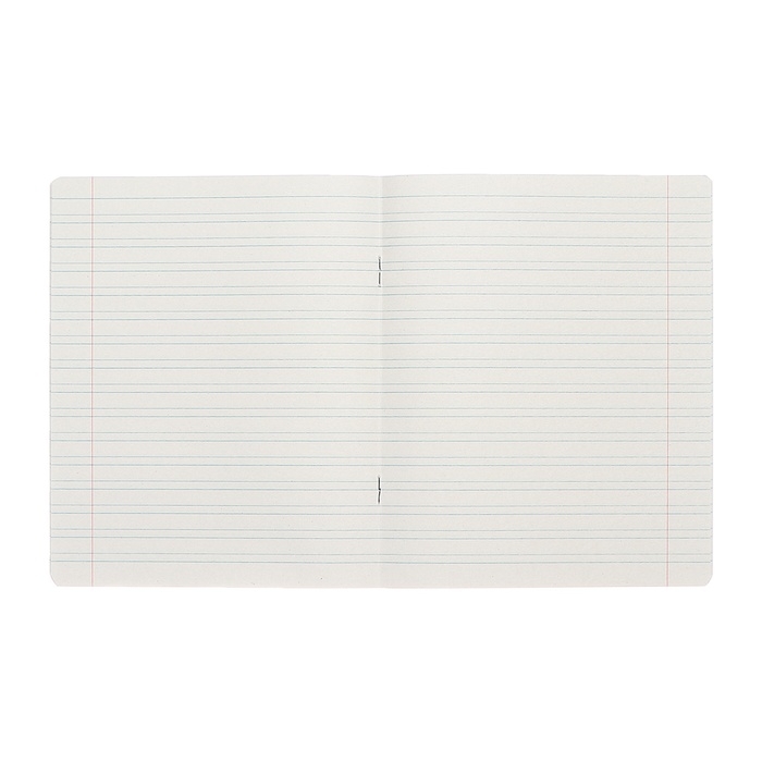 Комплект тетрадей из 10 штук, 12 листов в узкую линию Calligrata Комплект тетрадей из 10 штук, 12 листов в узкую линию Calligrata "Однотонная Классика Линовка. Эконом", обложка мелованная бумага, ВД-лак, блок №2, белизна 75% (серые листы), 5 видов по 2 штуки