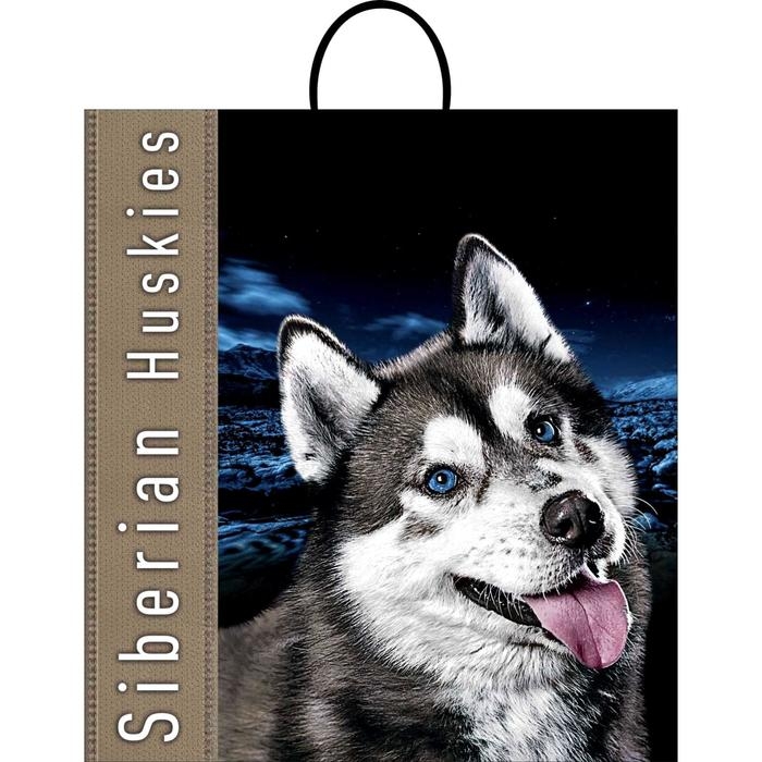 Пакет Пакет "Хаски", полиэтиленовый с пластиковой ручкой, 100 мкм 40 х 44 см