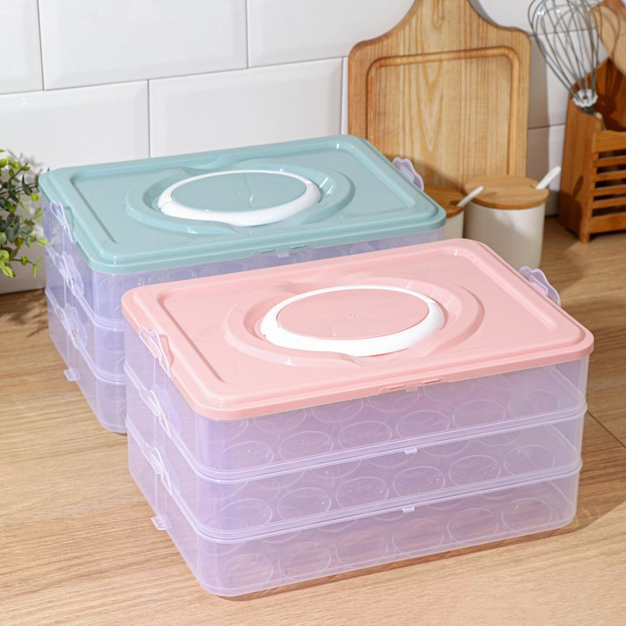 Контейнер для хранения яиц, 31,5&times;22&times;17,5 см, в 1 ярусе 24 ячейки, цвет МИКС