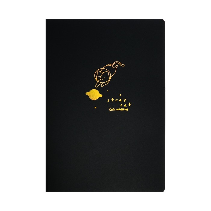 Скетчбук А5, 24 черных листа, "Кот космонавт", плотность 110 гр., МИКС