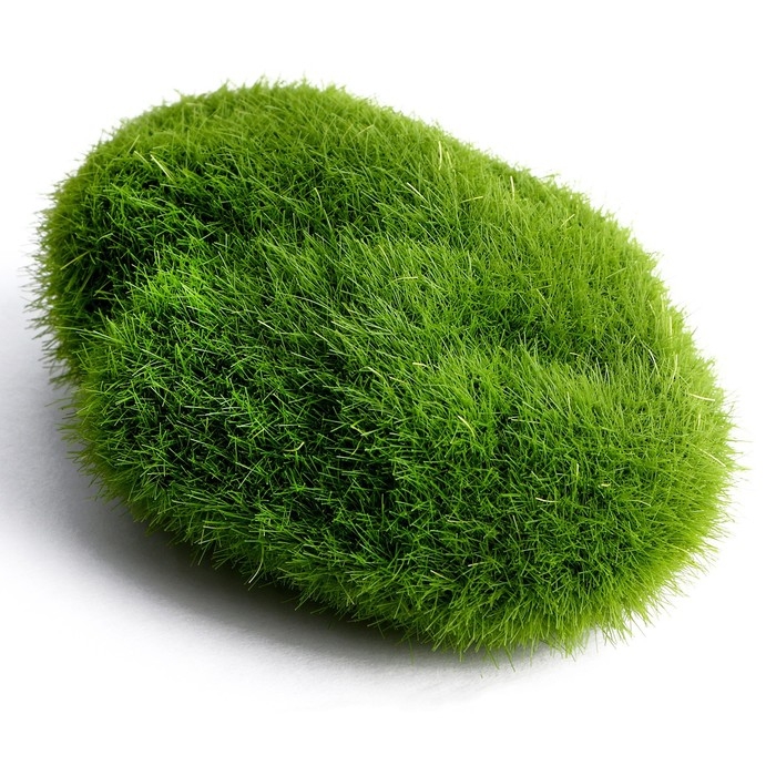 Основа для творчества &laquo;Камень со мхом&raquo; набор 2 шт., размер 1 шт. &mdash; 7 &times; 2 &times; 4,5 см