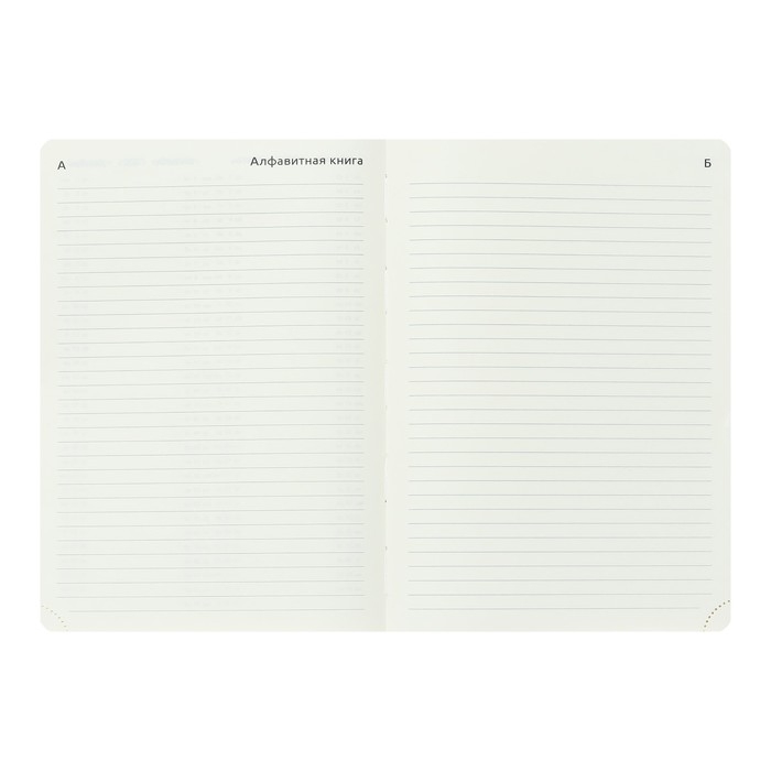 Ежедневник датированный 2024 A5 176 листов, deVENTE.Belcanto, твёрдая обложка из искусственной кожи с поролоном, ляссе, кремовый блок 70 г/м2, чёрный