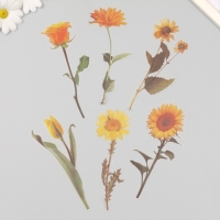 Наклейки пластик "Цветы и цитаты. Желтые" набор 12 шт 8,5х21,5х0,2 см Наклейки пластик "Цветы и цитаты. Желтые" набор 12 шт 8,5х21,5х0,2 см