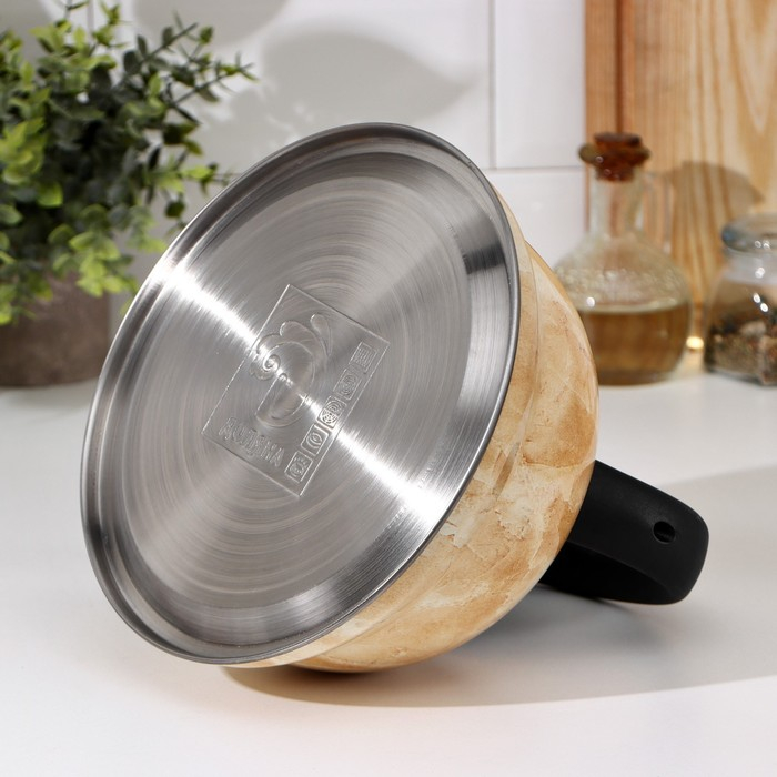 Чайник со свистком из нержавеющей стали Доляна &laquo;Скоттиш&raquo;, 2,8 л