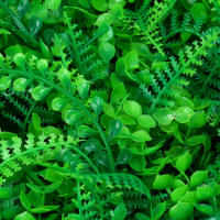 Декоративная панель, 60 × 40 см, «Самшит, Папоротник», Greengo Декоративная панель, 60 × 40 см, «Самшит, Папоротник», Greengo