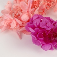 Набор сухоцветов &laquo;Гортензия&raquo;