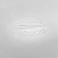 Кастрюля &laquo;Общепит. Шеф&raquo;, 6 л, d=28 см, h=10,3 см, капсульное дно, индукция