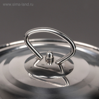 Котелок из нержавеющей стали «Походный», 2,5 л, d=20 см Котелок из нержавеющей стали «Походный», 2,5 л, d=20 см