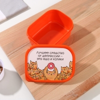 Ланч-бокс &laquo;Еда и котики&raquo;, прямоугольный, 500 мл