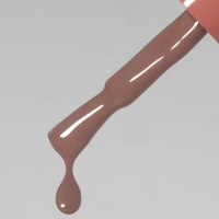 Гель лак для ногтей «SIMPLE», 3-х фазный, 10 мл, LED/UV, цвет коричневый (103) Гель лак для ногтей «SIMPLE», 3-х фазный, 10 мл, LED/UV, цвет коричневый (103)