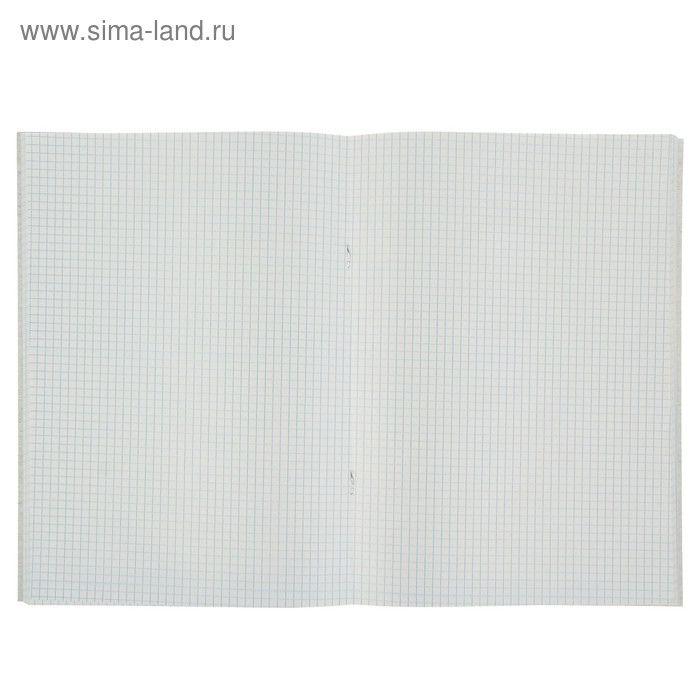 Тетрадь А4, 48 листов в клетку Тетрадь А4, 48 листов в клетку "Город 2", обложка мелованный картон, блок №2, белизна 75%