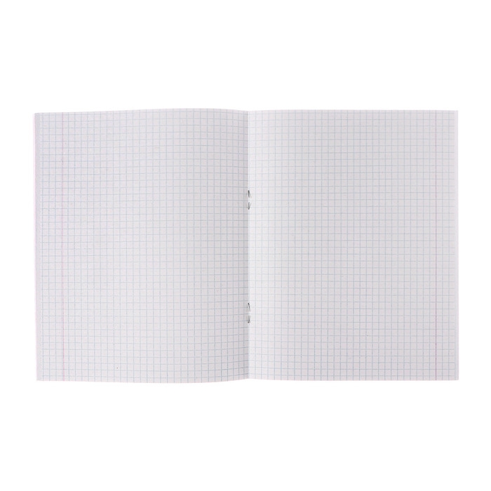 Комплект тетрадей из 5 штук (4 разные + 1 повторяющаяся), 48 листов в клетку Calligrata "Цветы", обложка мелованная бумага, блок №2, белизна 75% (серые листы)