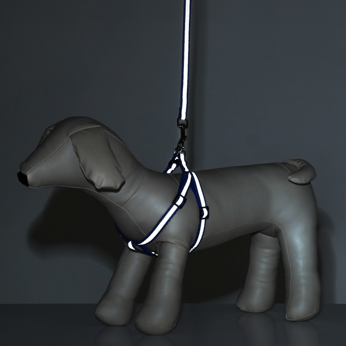 Комплект "Спорт" светоотражающий, поводок 120 х 1 см, ОГ 22-39 см, микс цветов