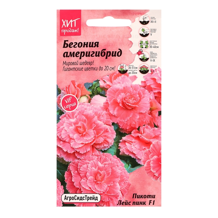 Семена цветов Бегония Семена цветов Бегония "Америгибрид Пикоти Лейс Пинк F1", 5 шт