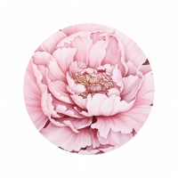 Набор шляпных коробок для цветов 5 в 1, упаковка подарочная, &laquo;Бутон&raquo;, 16 х 14 см - 22 х 19,5 см