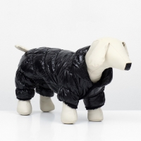 Комбинезон "Блеск", размер L (ДС 34 см, ОГ 47, ОШ 32 см, до 10 кг), чёрный Комбинезон "Блеск", размер L (ДС 34 см, ОГ 47, ОШ 32 см, до 10 кг), чёрный