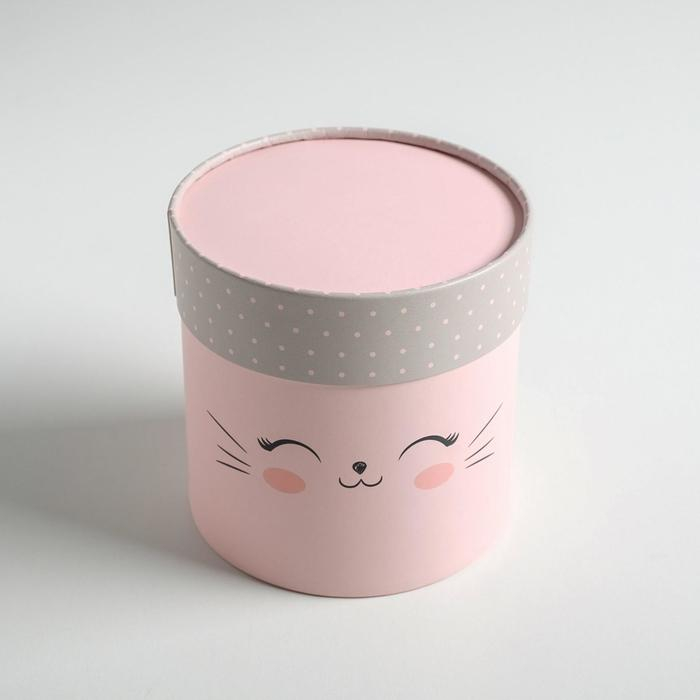 Набор коробок из тонкого картона 4 в 1, упаковка подарочная, &laquo;Мордочки&raquo;, 12 х 12 - 20 х 20 см